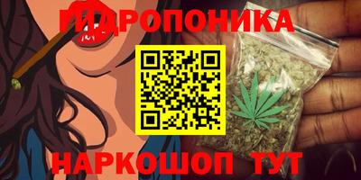 тгк Моздок