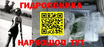 гидропоника Можга