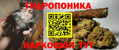 гидропоника Можга