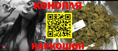 гидропоника Можга