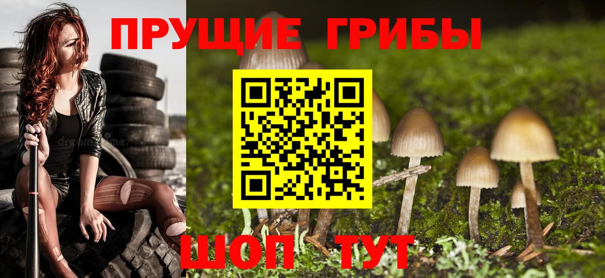 Галлюциногенные грибы Cubensis Электрогорск