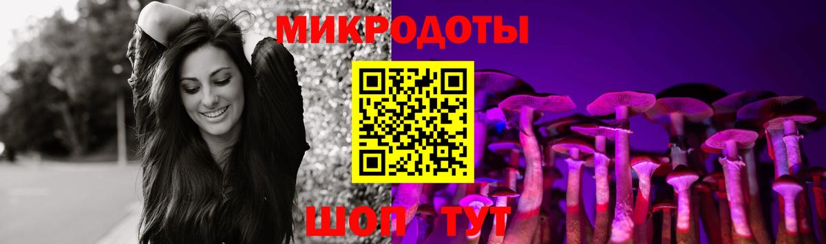 закладки  Вход с VPN  Электрогорск  Галлюциногенные грибы Magic Shrooms 